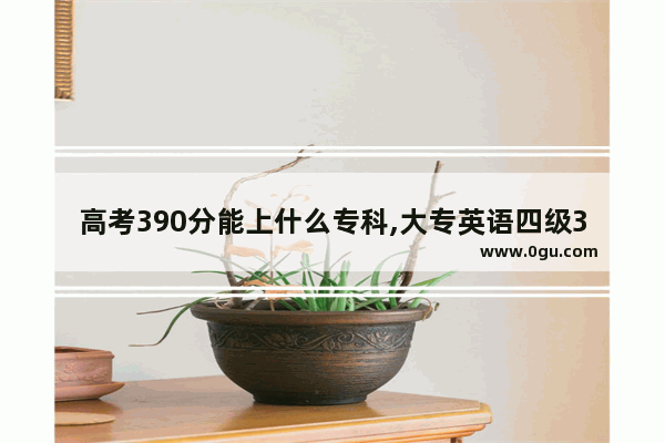 高考390分能上什么专科,大专英语四级390分