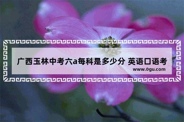 广西玉林中考六a每科是多少分 英语口语考试玉林