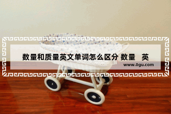 数量和质量英文单词怎么区分 数量   英语