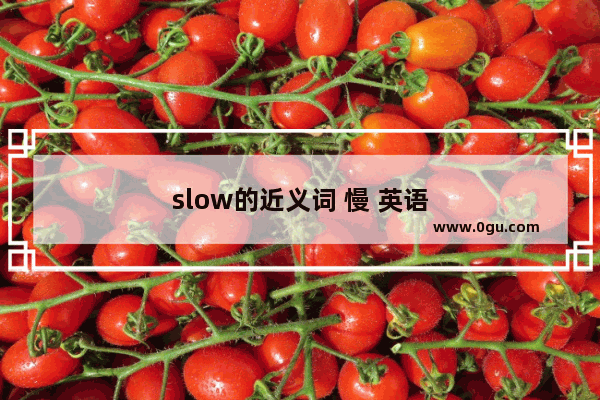 slow的近义词 慢 英语