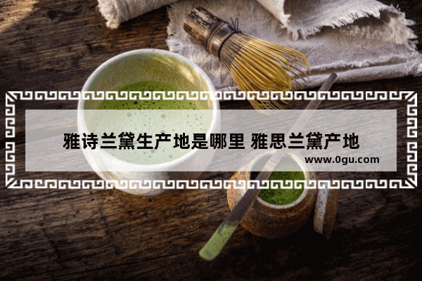 雅诗兰黛生产地是哪里 雅思兰黛产地