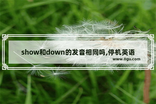 show和down的发音相同吗,停机英语怎么说