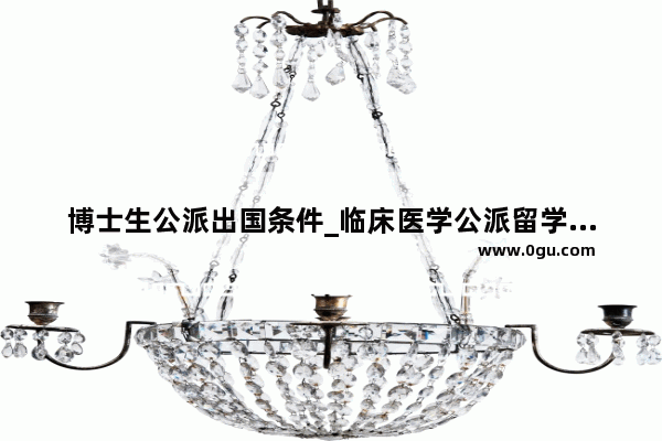 博士生公派出国条件_临床医学公派留学博士要求