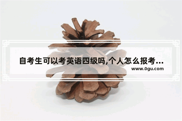 自考生可以考英语四级吗,个人怎么报考英语四级
