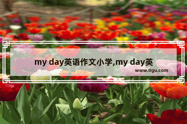 my day英语作文小学,my day英语作文小学