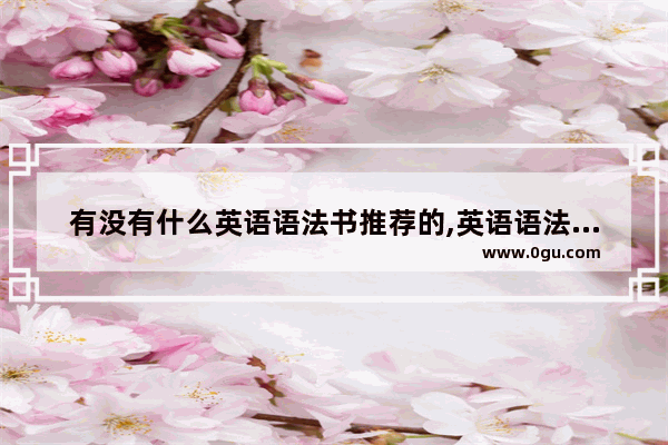 有没有什么英语语法书推荐的,英语语法课课堂亮点怎么写