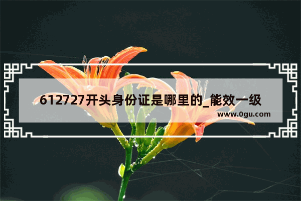 612727开头身份证是哪里的_能效一级好还是三级好