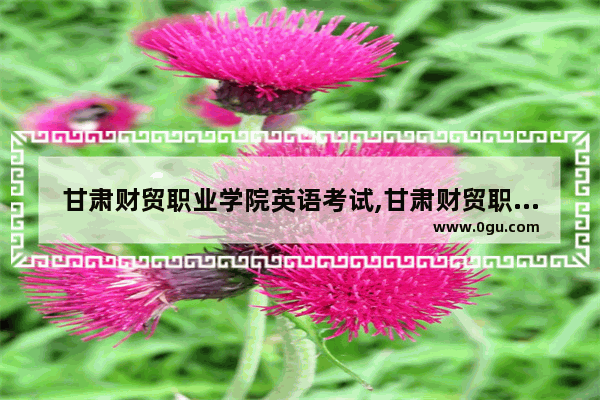 甘肃财贸职业学院英语考试,甘肃财贸职业学院英语考试