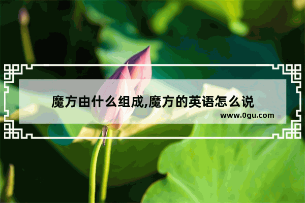 魔方由什么组成,魔方的英语怎么说