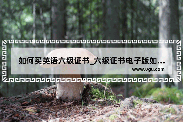 如何买英语六级证书_六级证书电子版如何下载