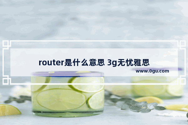 router是什么意思 3g无忧雅思
