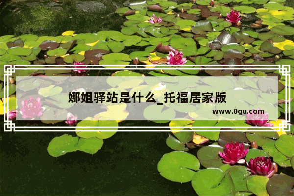 娜姐驿站是什么_托福居家版
