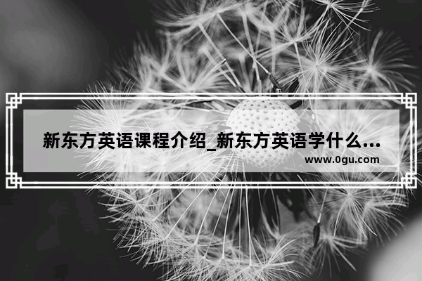 新东方英语课程介绍_新东方英语学什么教材