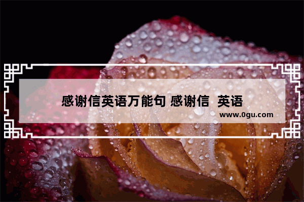 感谢信英语万能句 感谢信  英语