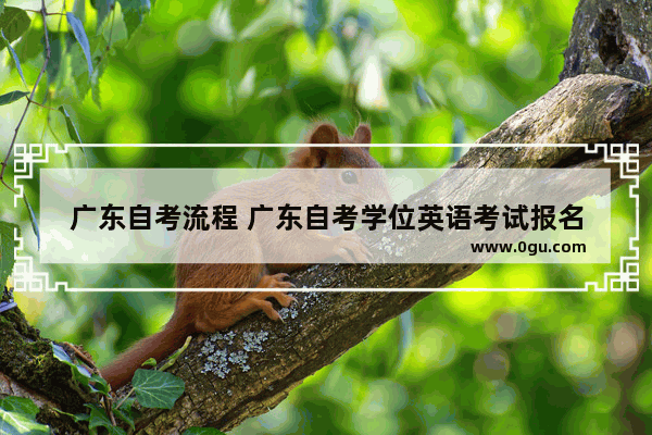 广东自考流程 广东自考学位英语考试报名