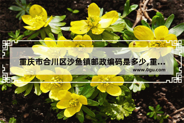 重庆市合川区沙鱼镇邮政编码是多少,重庆合川的英语四级