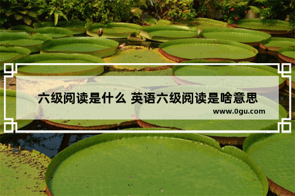 六级阅读是什么 英语六级阅读是啥意思