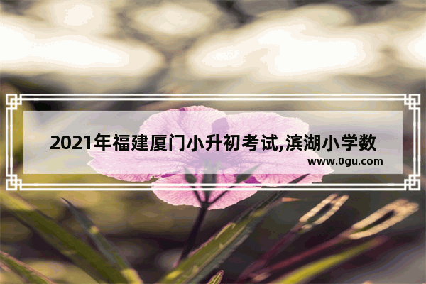 2021年福建厦门小升初考试,滨湖小学数学英语考试卷