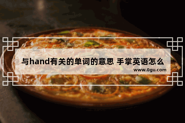 与hand有关的单词的意思 手掌英语怎么说