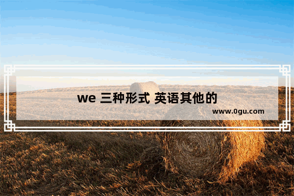 we 三种形式 英语其他的