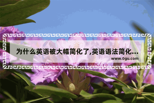 为什么英语被大幅简化了,英语语法简化学习法