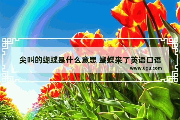 尖叫的蝴蝶是什么意思 蝴蝶来了英语口语