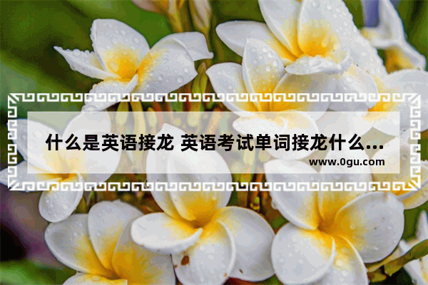 什么是英语接龙 英语考试单词接龙什么意思