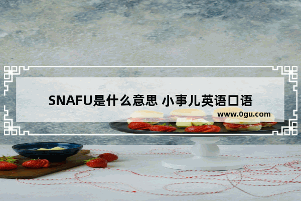 SNAFU是什么意思 小事儿英语口语