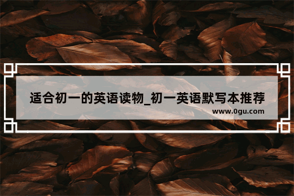适合初一的英语读物_初一英语默写本推荐
