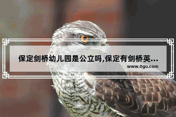 保定剑桥幼儿园是公立吗,保定有剑桥英语考试点吗