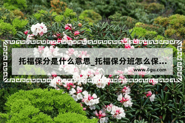 托福保分是什么意思_托福保分班怎么保分啊