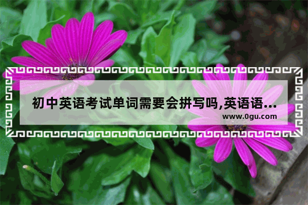 初中英语考试单词需要会拼写吗,英语语法填空必改单词吗