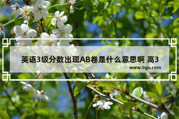 英语3级分数出现AB卷是什么意思啊 高3英语考试卷子