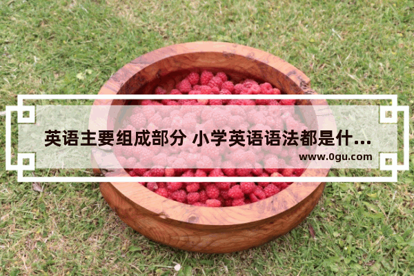 英语主要组成部分 小学英语语法都是什么单词