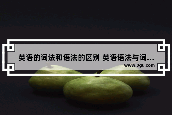 英语的词法和语法的区别 英语语法与词汇教学的关系