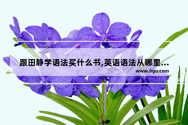 跟田静学语法买什么书,英语语法从哪里学最好听