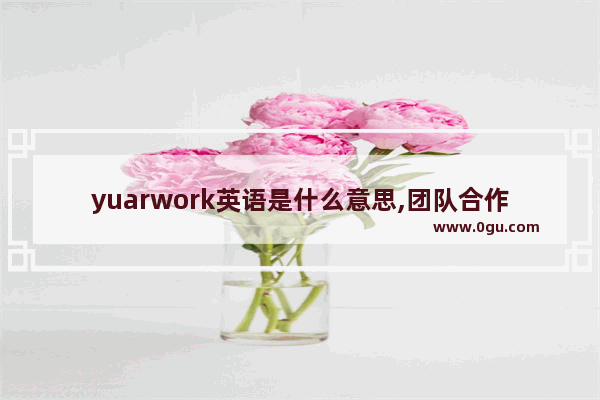 yuarwork英语是什么意思,团队合作英语怎么说