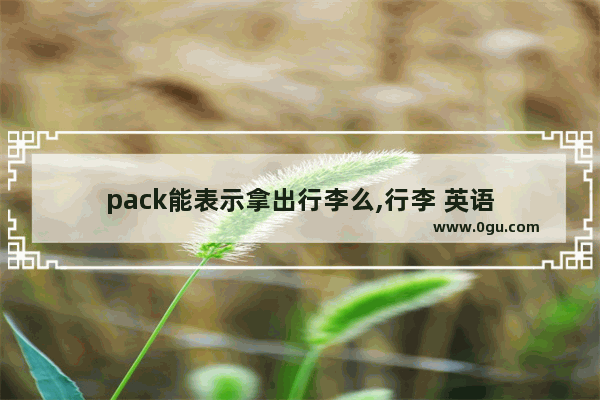 pack能表示拿出行李么,行李 英语
