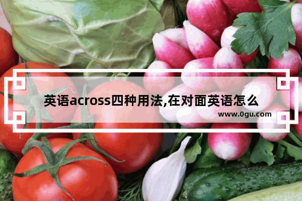 英语across四种用法,在对面英语怎么说
