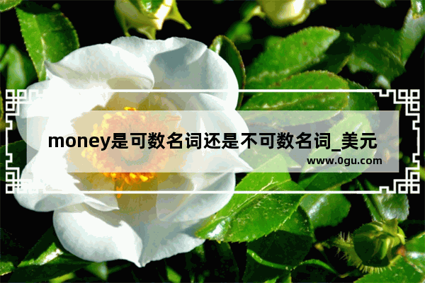 money是可数名词还是不可数名词_美元金额大写怎么写