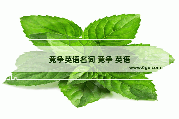 竞争英语名词 竞争 英语