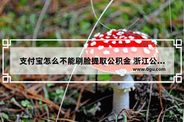 支付宝怎么不能刷脸提取公积金 浙江公三英语考试人脸识别