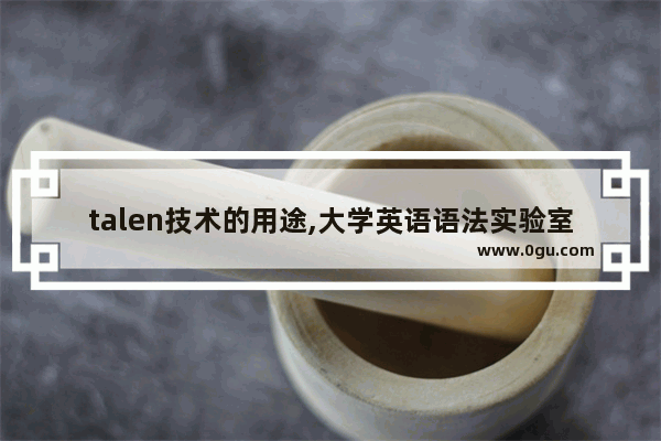 talen技术的用途,大学英语语法实验室工作