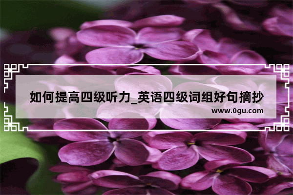 如何提高四级听力_英语四级词组好句摘抄