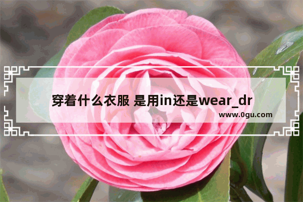 穿着什么衣服 是用in还是wear_dress和skirt什么区别