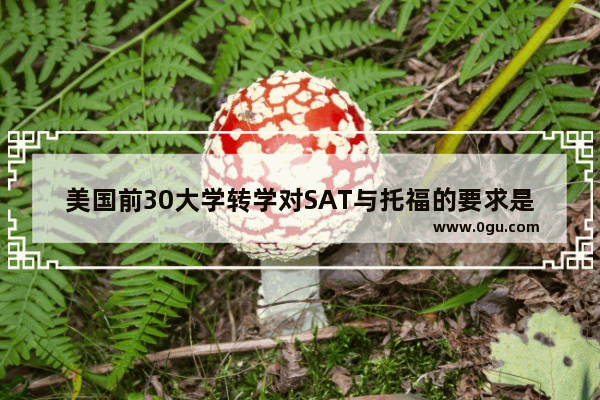 美国前30大学转学对SAT与托福的要求是什么 转学考托福
