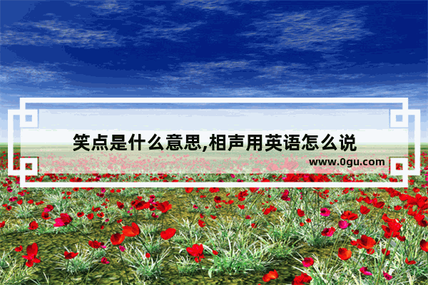 笑点是什么意思,相声用英语怎么说