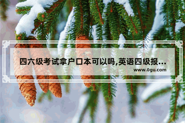 四六级考试拿户口本可以吗,英语四级报名要带什么