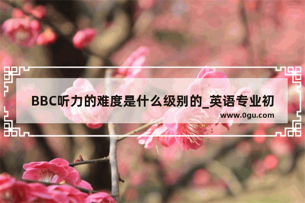 BBC听力的难度是什么级别的_英语专业初学者该听BBC还是VOA来提高听力