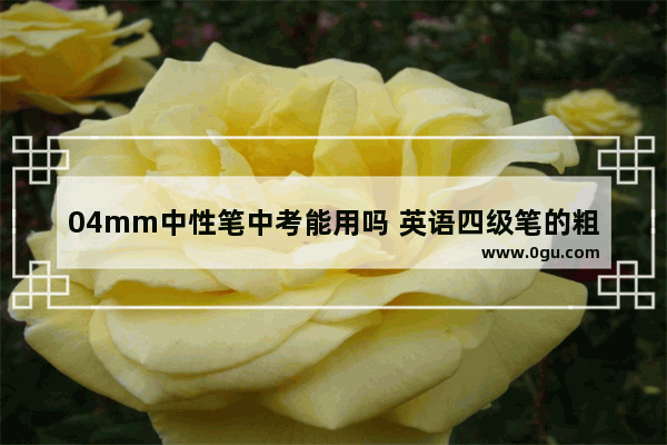 04mm中性笔中考能用吗 英语四级笔的粗细
